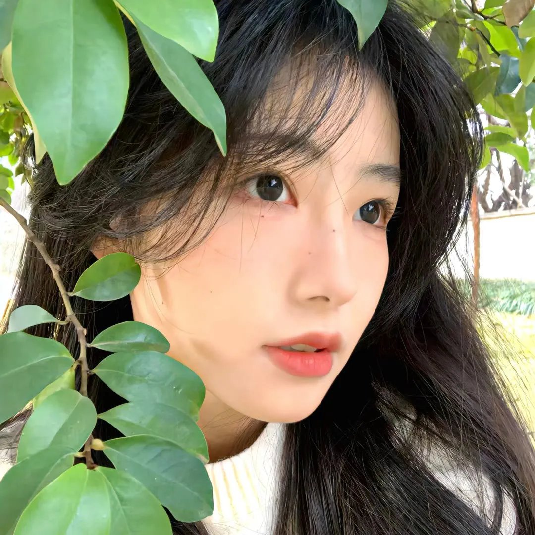 胭脂狐